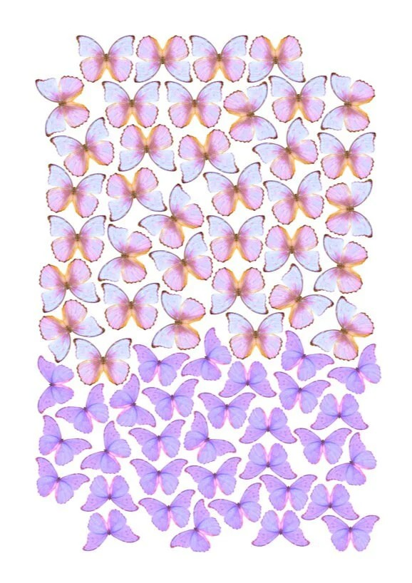 edible wafer butterflies